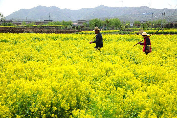 🌸腾讯【澳门2024正版资料免费公开】-南京无痛种植牙多少钱_补一个牙齿多少钱