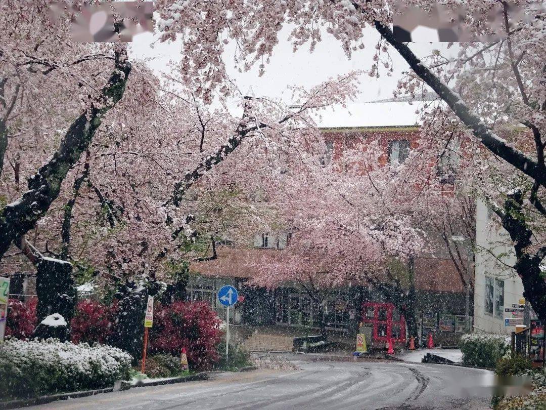 🌸豆瓣电影【新澳门一码一肖一特一中】-善睐物联：智能门锁物联卡带来的便捷性  第2张