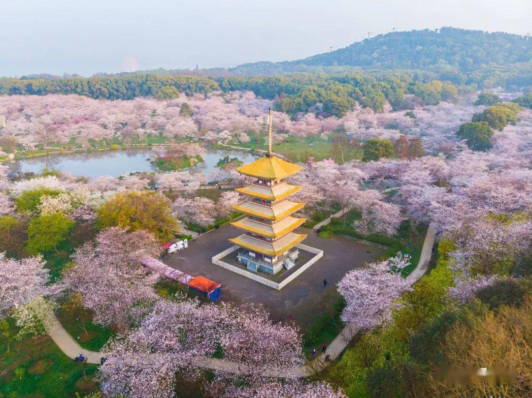 🌸快手短视频【管家婆一码一肖100中奖】-继续上涨！今日尿素价格行情！5月13日报价