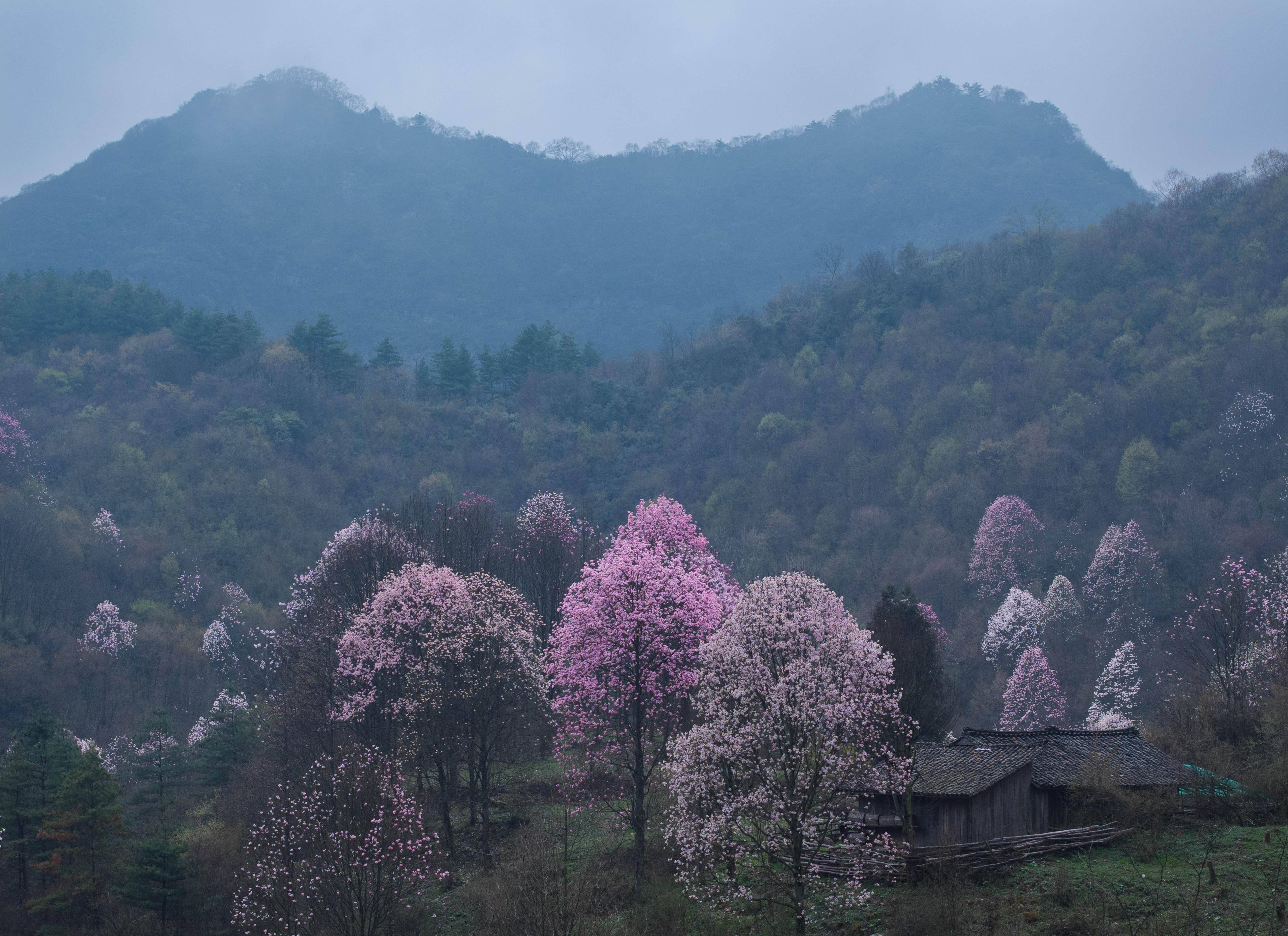 🌸快手短视频【管家婆一码一肖100中奖】-海外仓系统定制和自研哪个好？海外仓系统定制哪个公司好？