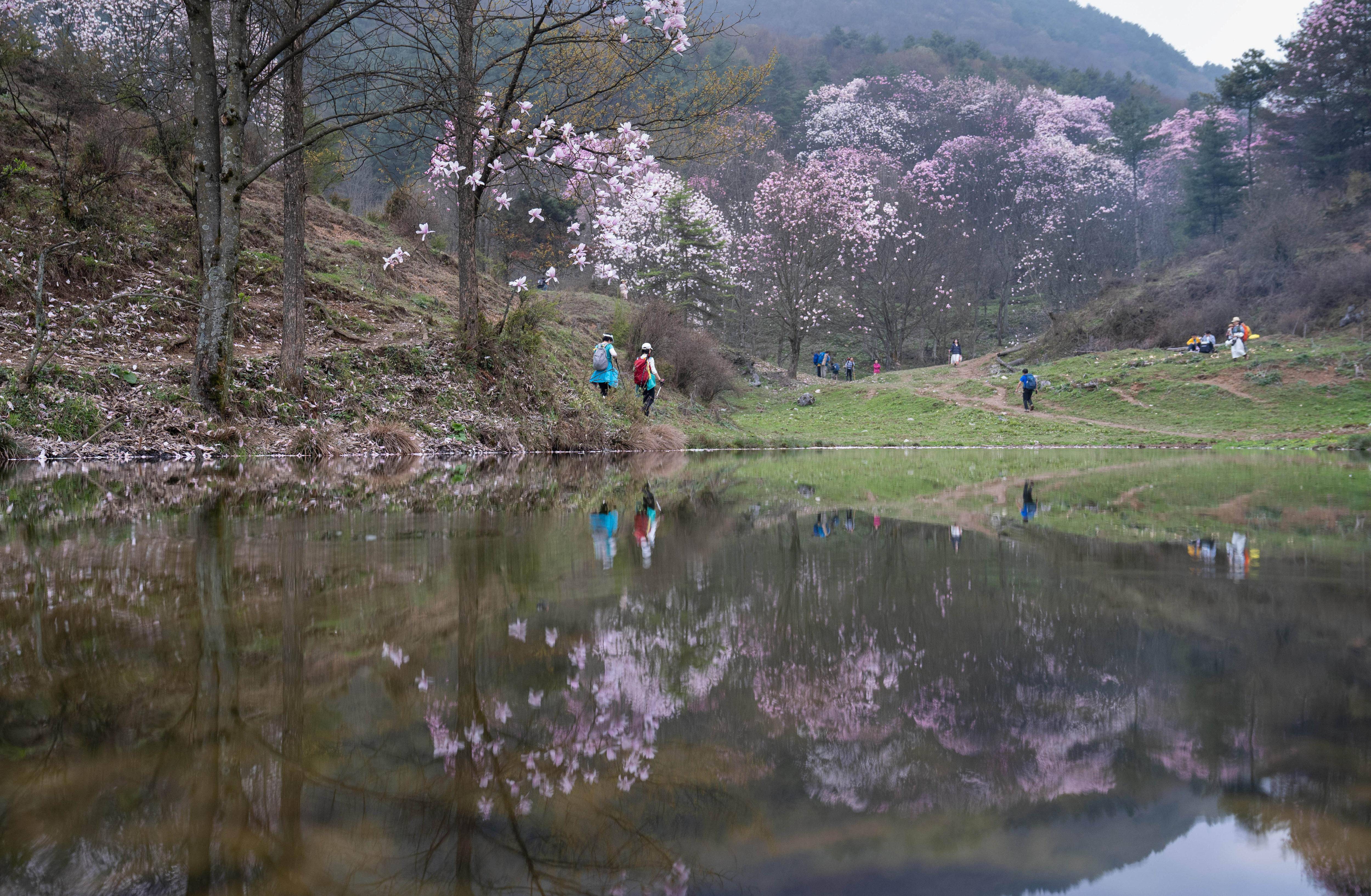 🌸爱奇艺【澳门一肖一码必中一肖一码】-雷蒙多的反智言论，让美国辛苦树起的“三面大旗”倒了，全球战略新局开启  第1张