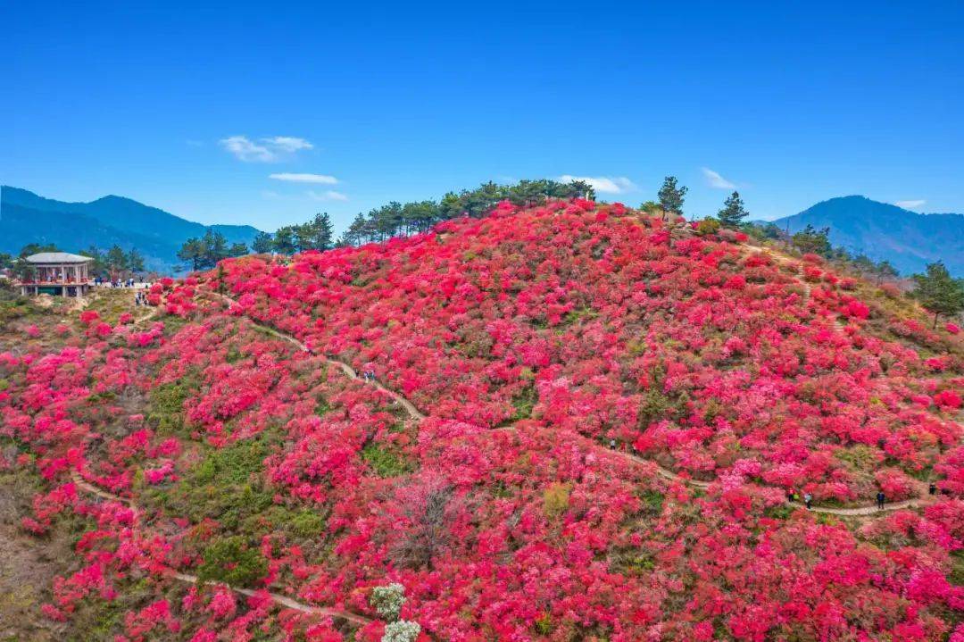 🌸猫眼电影【澳门一肖一码100准免费资料】-渐变膜价格真相，一平米究竟多少钱？  第1张