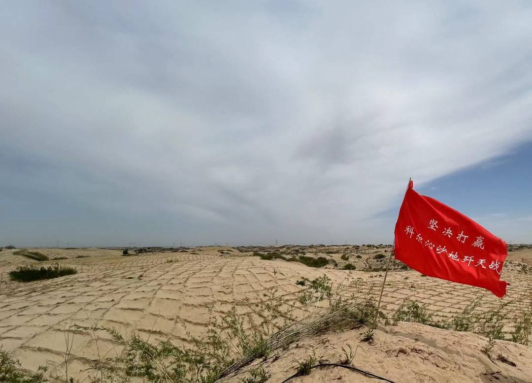 🌸好莱坞在线【2024年澳门今晚开奖号码】-《与凤行》幽兰和谁在一起了？沈璃的珠子有什么用