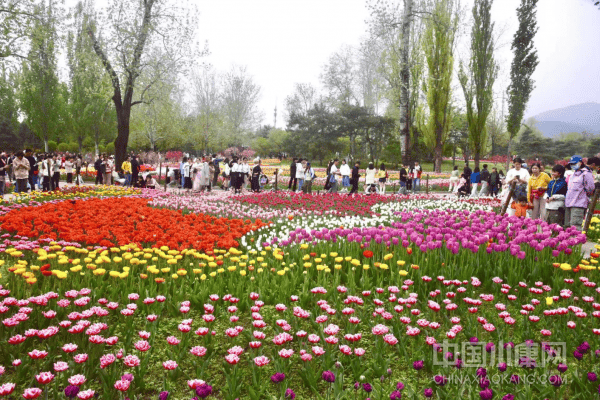 🌸爱奇艺【澳门一肖一码必中一肖一码】-中医与西医的区别