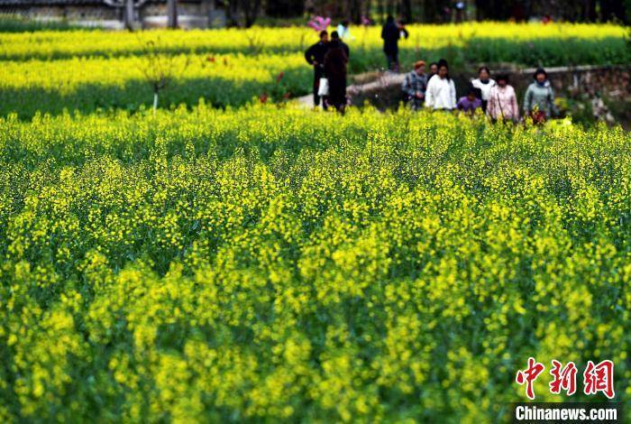 🌸爱奇艺【澳门一肖一码必中一肖一码】-国槐19中·教育家书院迎来大咖开讲 詹大年：好的关系才是好的教育