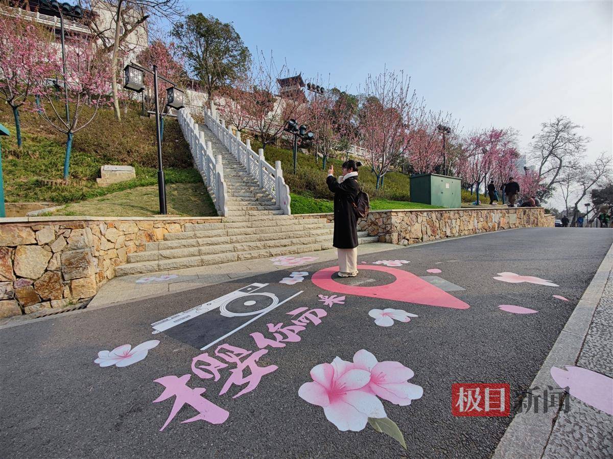 🌸酷我音乐【2024一肖一码100精准大全】-注意看哈 | 两个例子说明一下别贪电商平台小便宜  第1张