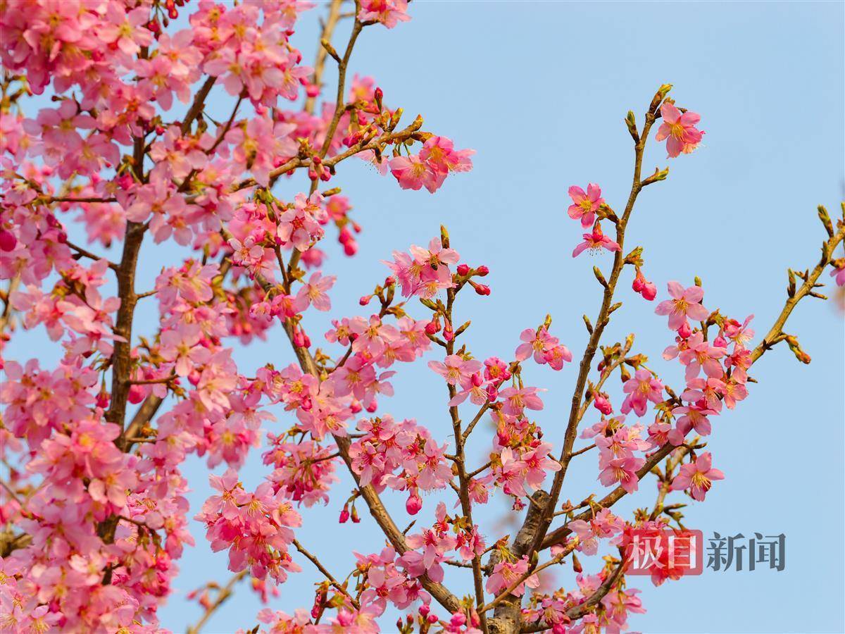 🌸电视家【今期澳门三肖三码开一码】-最宠老婆的星座男