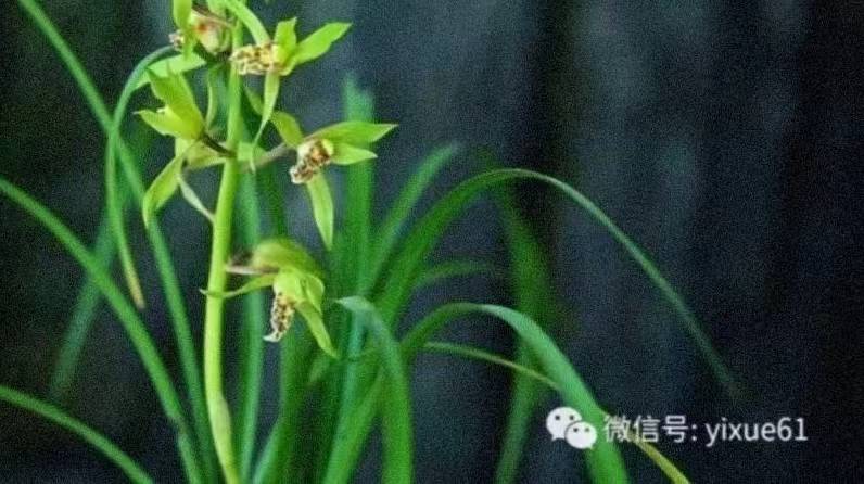 🌸百度【2024澳门天天六开彩免费资料】-蔬菜价格行情走势分析/浙江杭州农产品批发市场最新报价表（2024年05月08日）