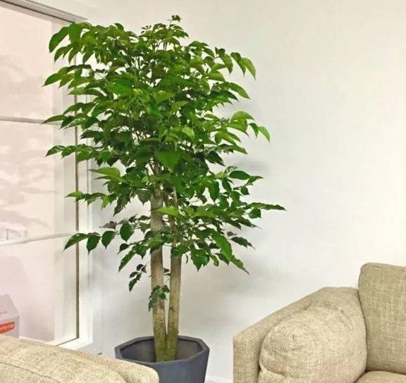 🌸龙珠直播【澳门一肖一码精准100王中王】-游贵州生态美景，品贵州酱香美酒 | 贵州老字号进景区活动火热进行中