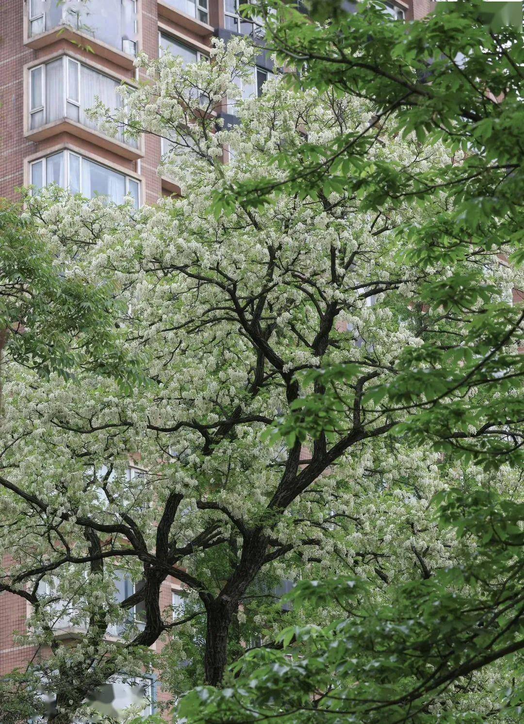 🌸豆瓣电影【新澳门一码一肖一特一中】-宝鸡到张家界旅游攻略路线图片 ,看完少花冤枉钱  第1张