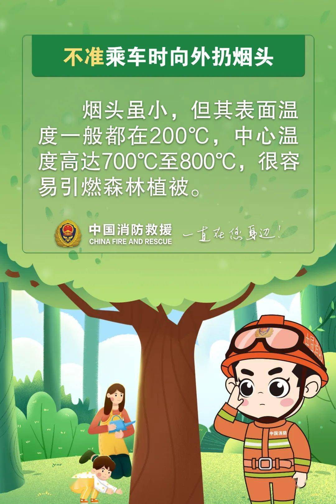 🌸猫眼电影【澳门一肖一码100准免费资料】-盆景初学者如何学习制作对节白蜡树桩盆景  第5张