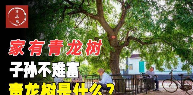 中青在线 :管家婆最准内部资料大会-高清压缩图片什么方法好？分享六个不影响原始质量的方法  第4张