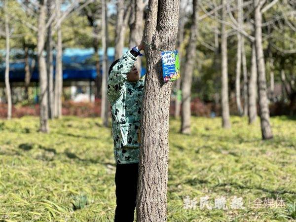 🌸搜视网【澳门精准100%一肖一码免费】-它是树中的“活化石”，农户常用果实泡酒喝，城里1斤卖40元  第2张