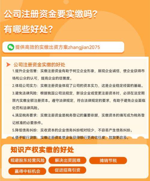 🌸网易云音乐【澳门资料大全正版资料2024年免费】-徕木股份申请一种母端连接器专利，提升公端连接器与母端连接器的连接稳定性