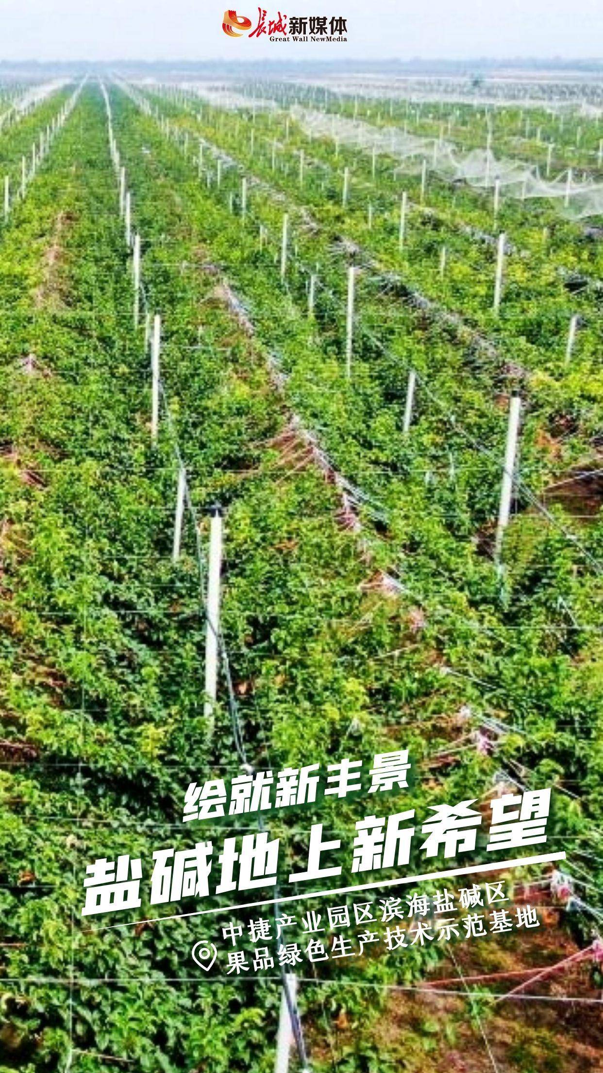 🌸新浪【494949澳门今晚开什么】-武汉中诺口腔医院口碑好吗：瑞士SIC种植牙一颗多少钱？