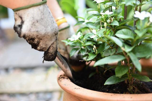 🌸趣头条【香港二四六开奖免费资料】-二甲酸钾促进鱼虾生长速度帮助虾蟹脱壳