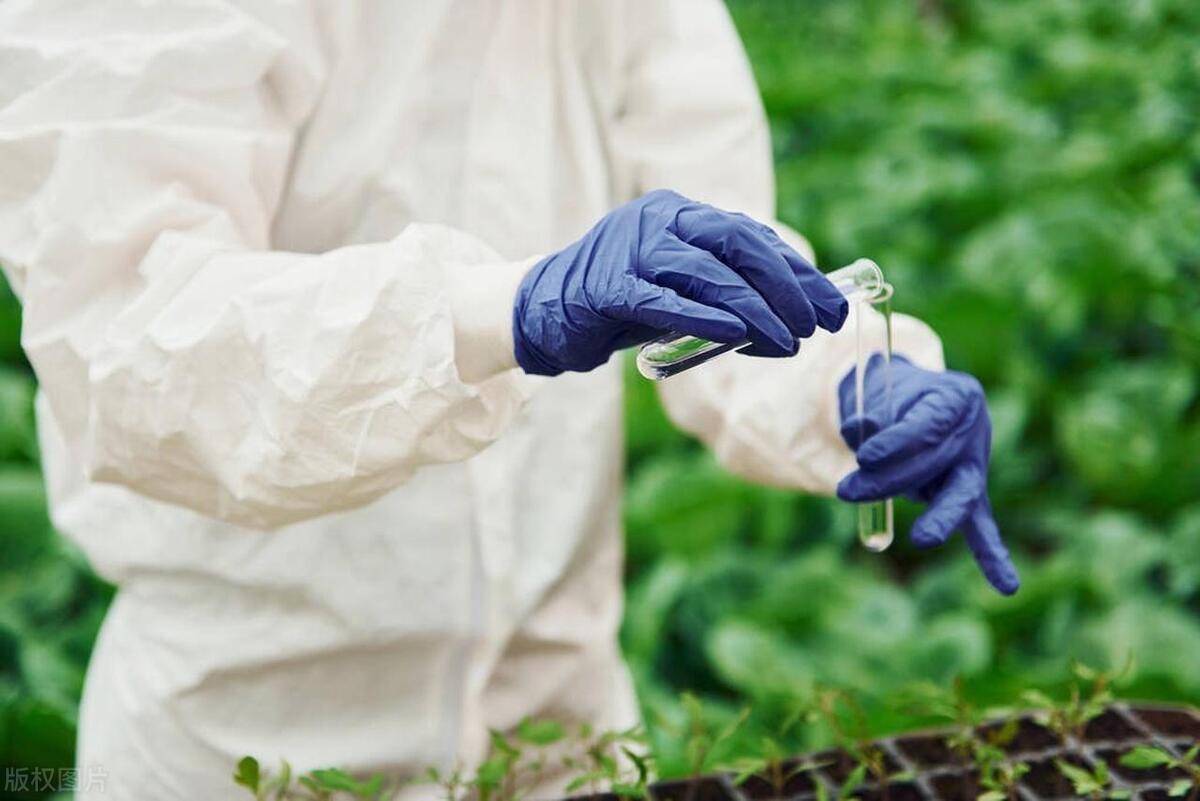 🌸电视家【今期澳门三肖三码开一码】-“中国最冷小镇”：杜鹃花开 大地披彩衣  第3张