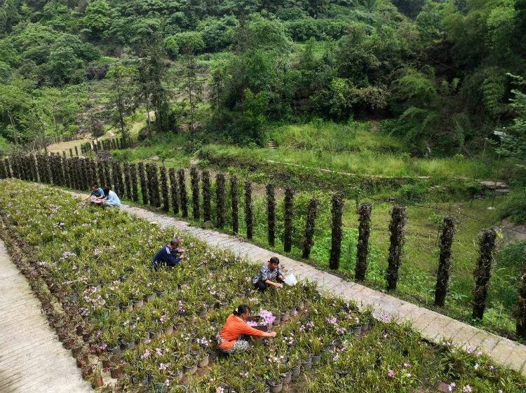 🌸虎牙【新澳门一码一肖100精确】-​美国在中国家门口建基地！可以出奇招，吹填黄岩岛，覆盖菲区基地