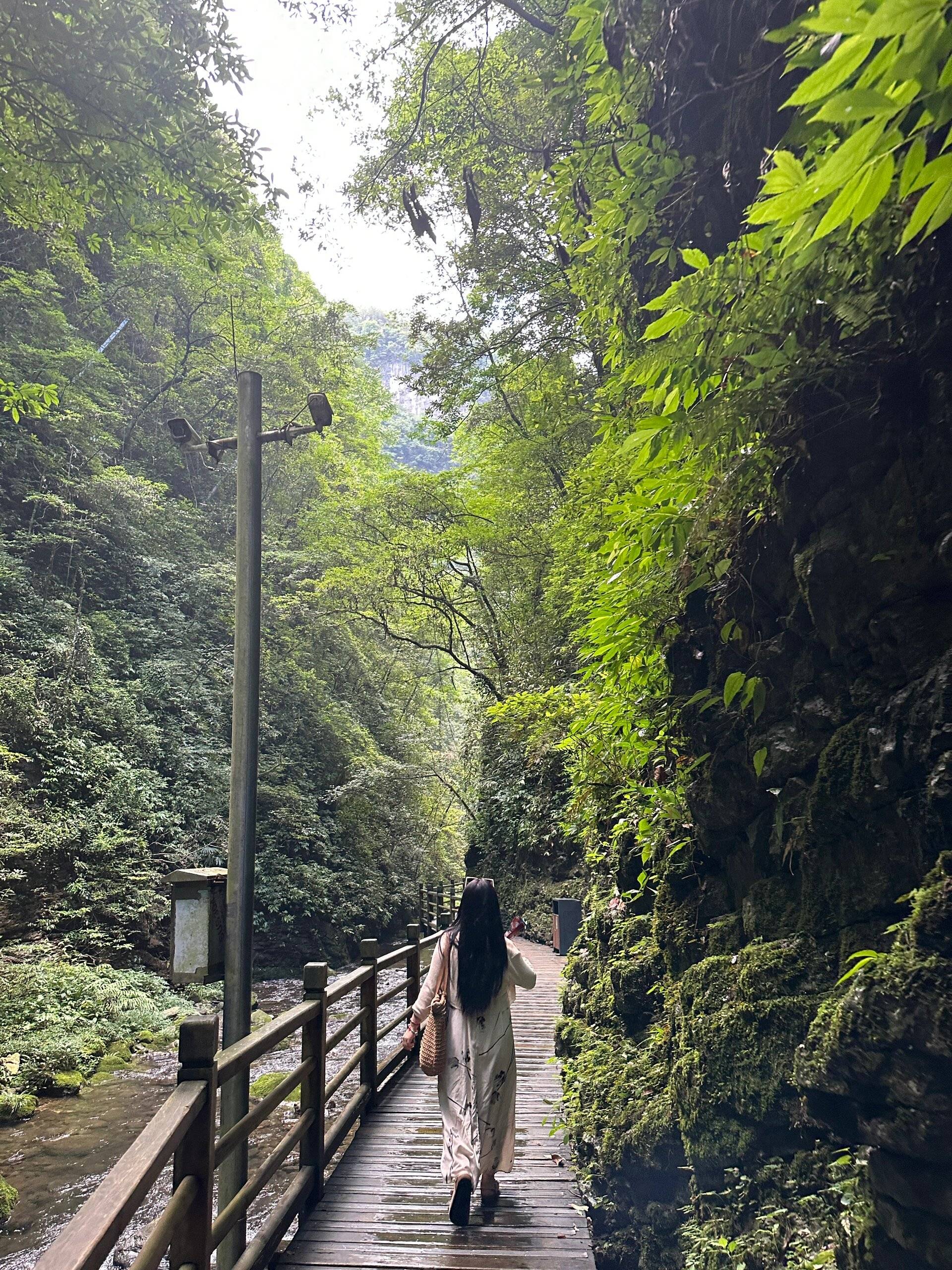 🌸影视风云【澳门天天开彩好正版挂牌】-吃什么蔬菜排毒？快点进来看！一起研究一下吧！