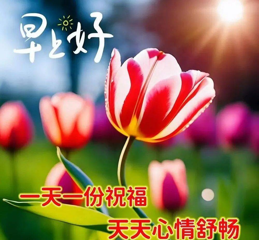 🌸快手短视频【2024新澳门正版免费资料】-美国很费解：最不像自己的中国，为何却学得最像美国？  第5张