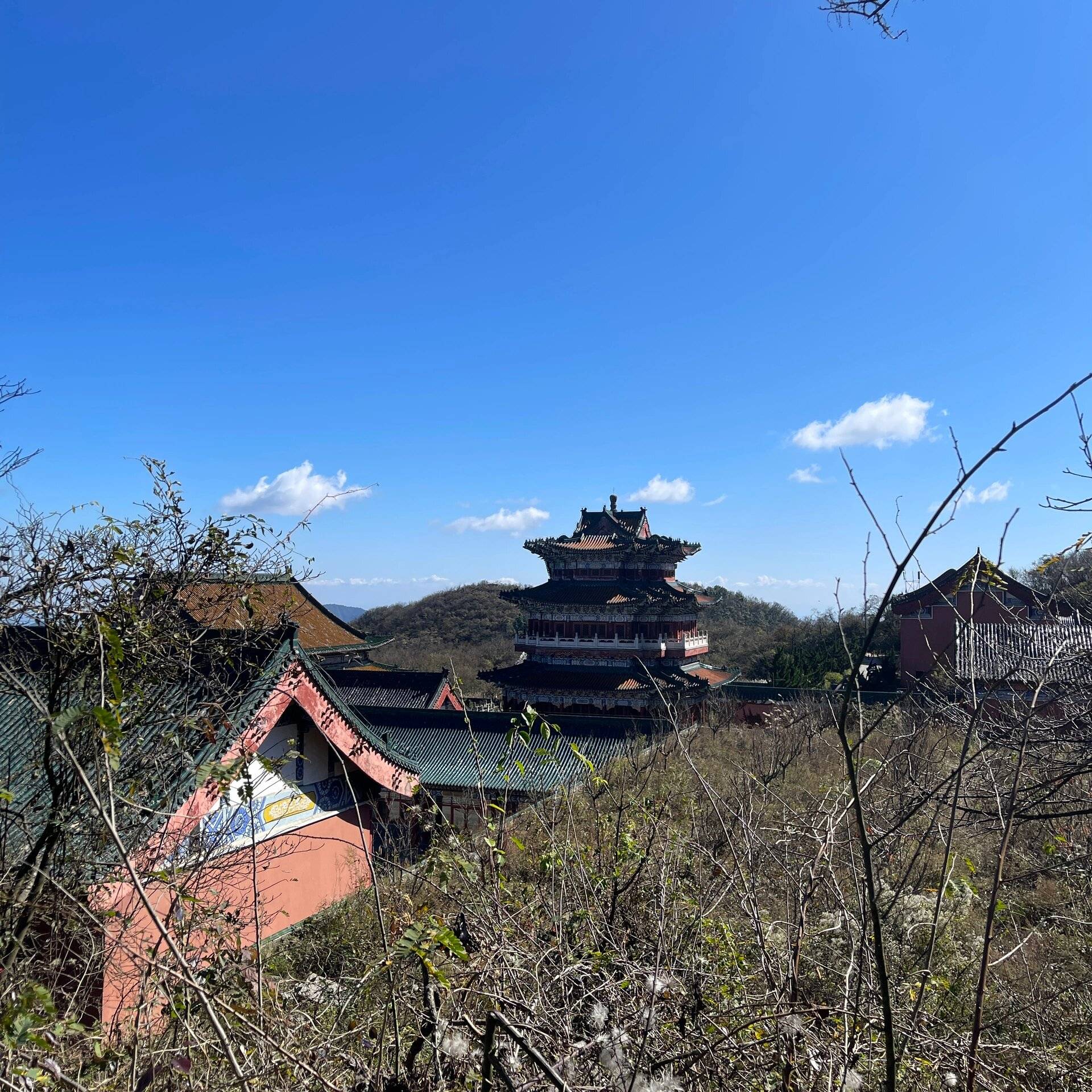 🌸飞猪视频【2024澳门资料大全免费】-俗语：“树怕三摇，女怕三撩，鸡怕撵狗怕舔”，究竟是什么意思