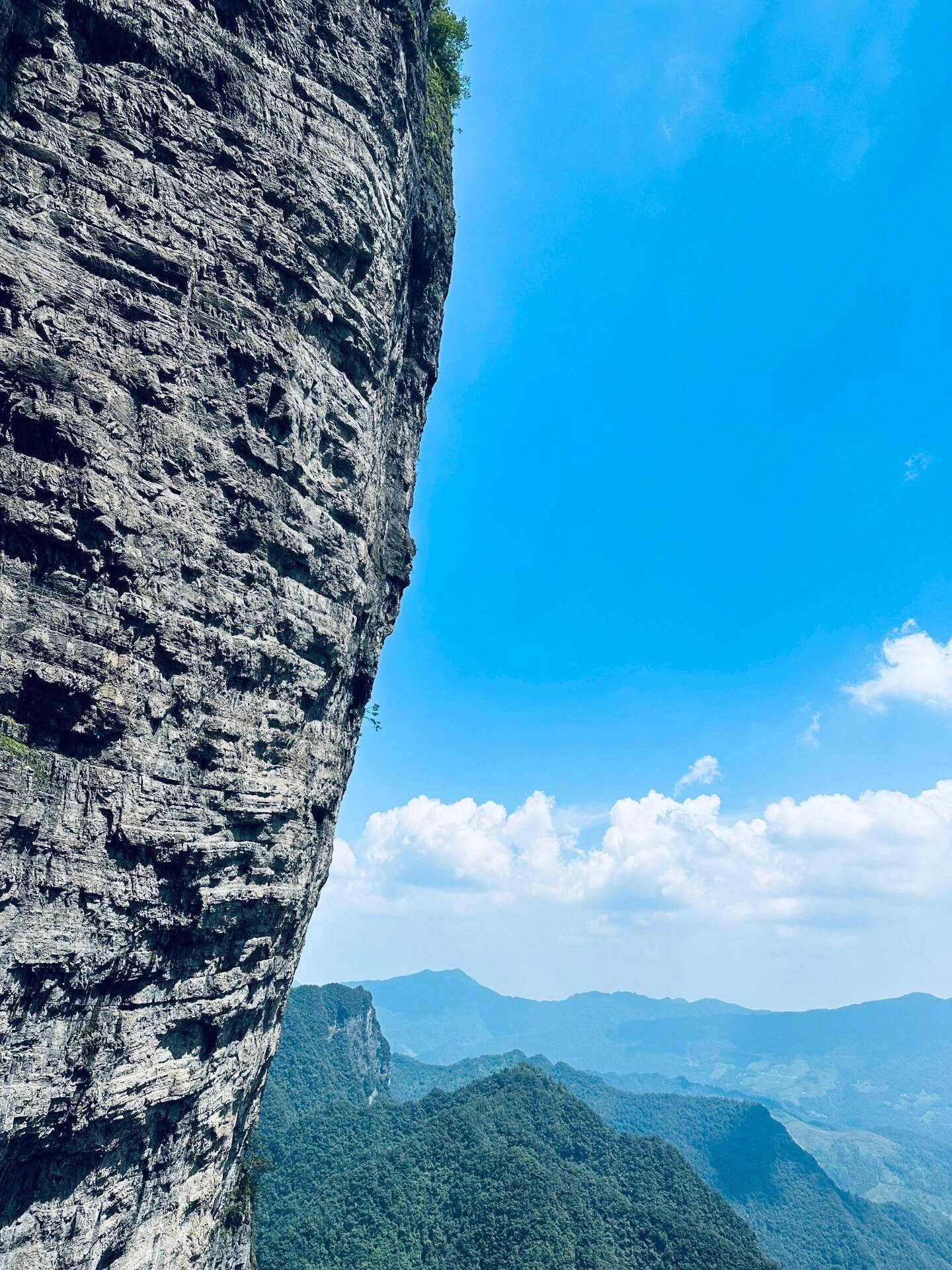 🌸爱奇艺【澳门一肖一码必中一肖一码】-肖战时装周待遇顶级，华流风暴席卷多国！日本网友酸出屏幕