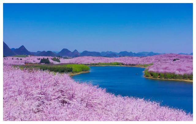 🌸虎牙【新澳门一码一肖100精确】-1936年，神枪手王树声被困大漠，神秘恩人的下落60年后才被找到  第1张