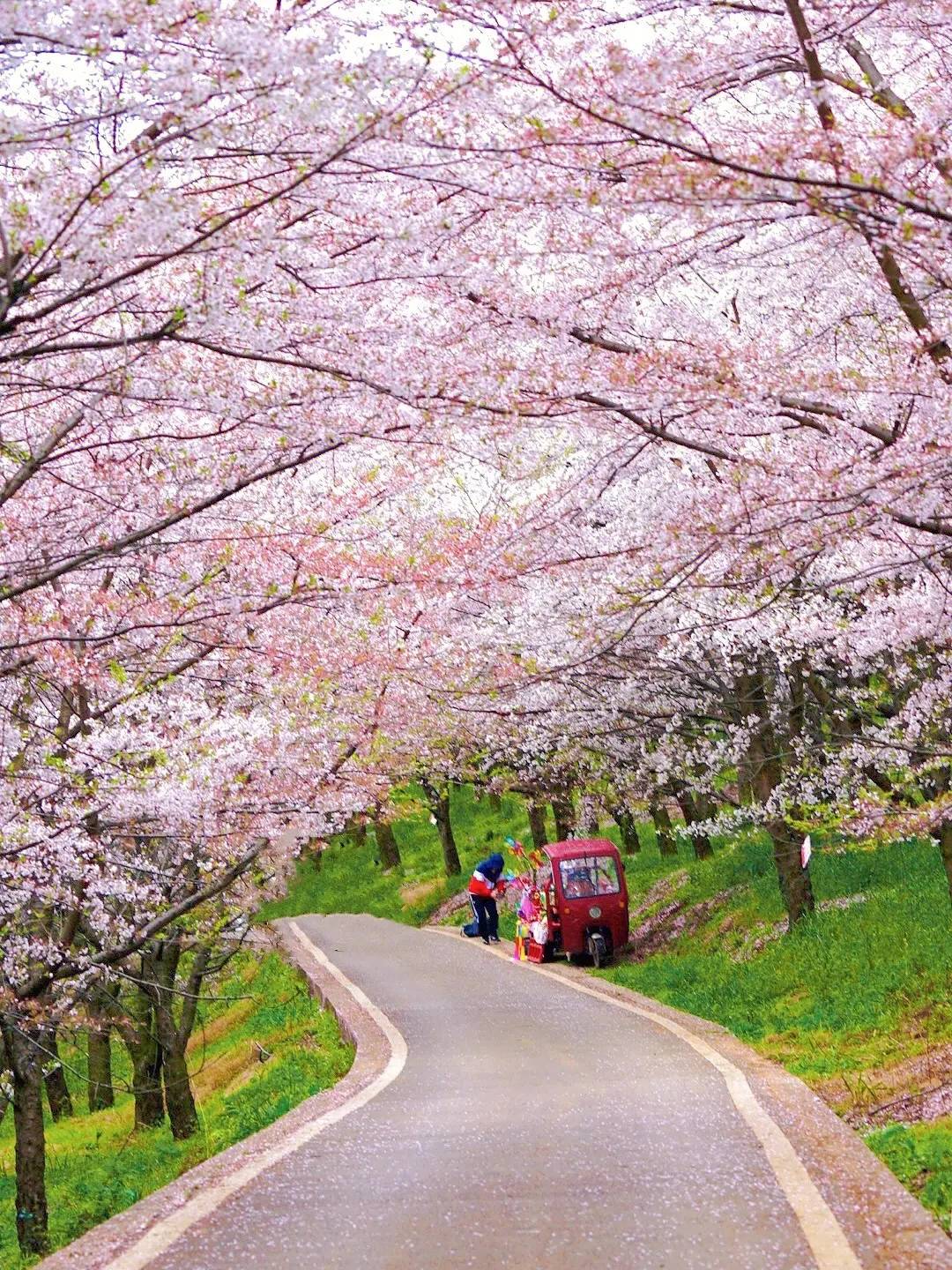 🌸趣头条【2024澳门特马今晚开奖】-世界最慢相机，花1000年拍出的照片长啥样？  第1张