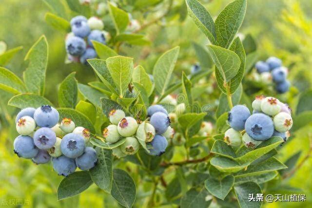 🌸新浪电影【澳门王中王100%期期中】-母亲节书单 | 妈妈不是超人，但对我无所不能  第3张