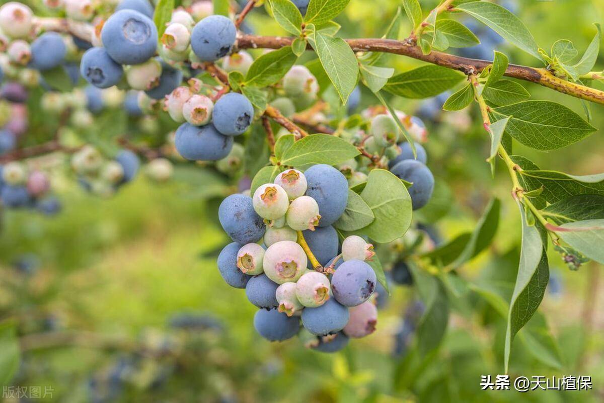 华夏经纬网:澳门一肖一码精准100王中王-开鲁市场监督管理局春耕农资市场供应价格提醒告诫书  第2张