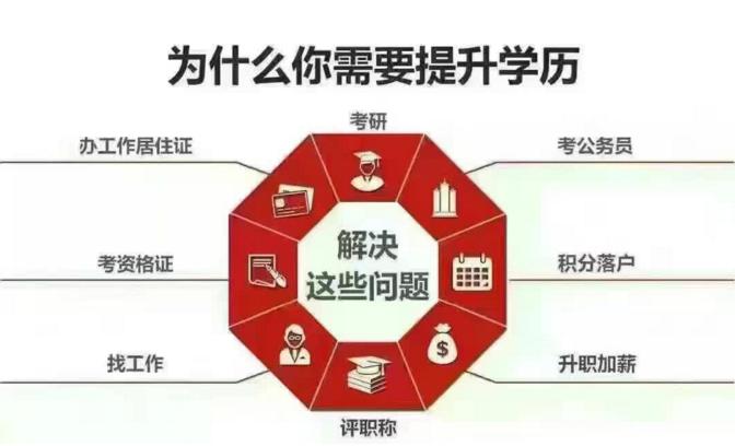 成人大专学历能否参加公务员考试，资格与路径探讨