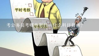 公务员考试难度深度解析，哪个环节更具挑战？