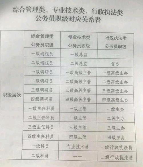 公务员职务级别概览与巡视员角色深度解析