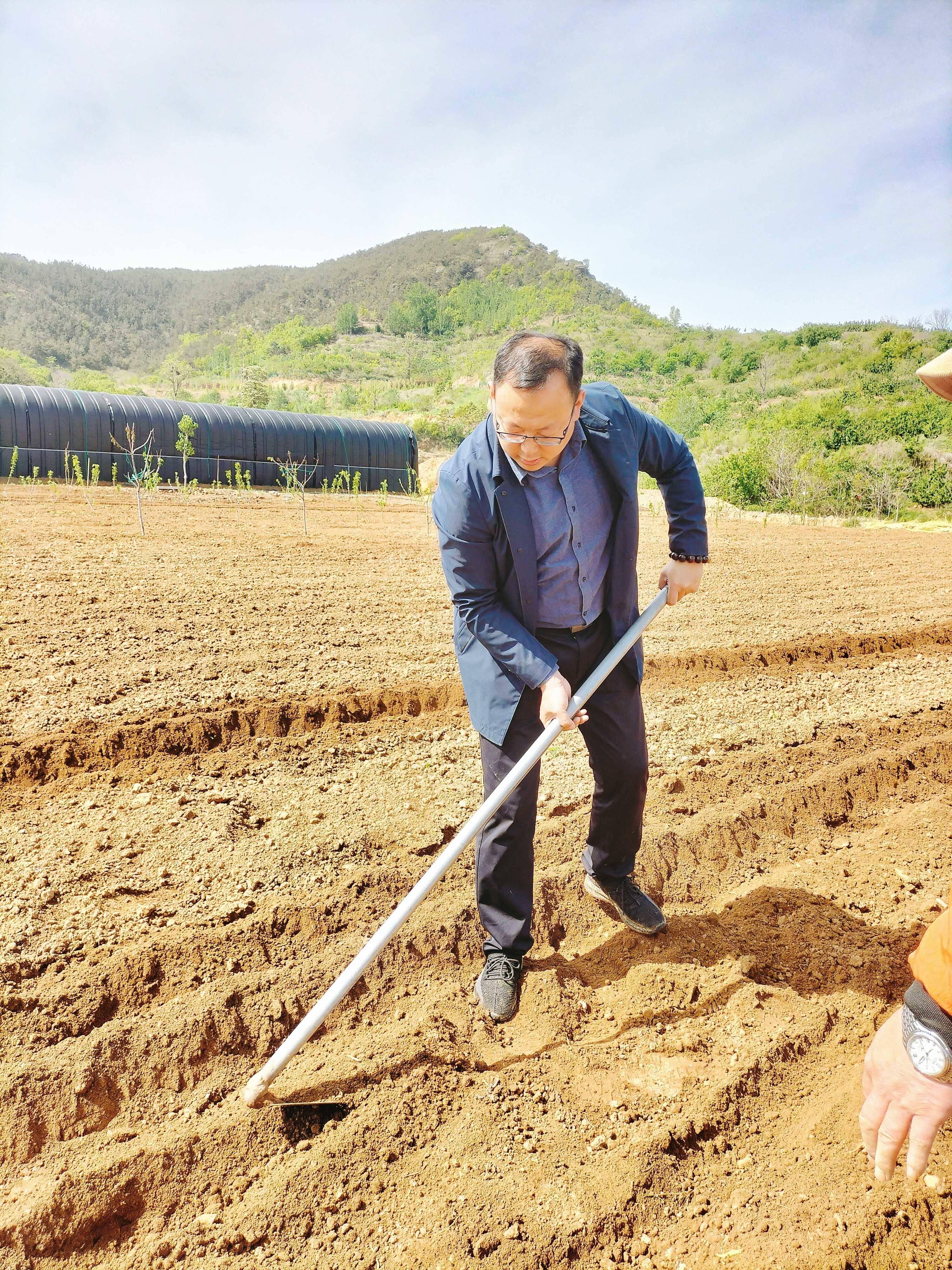 公务员岗位专业对照目录表，解读与应用指南