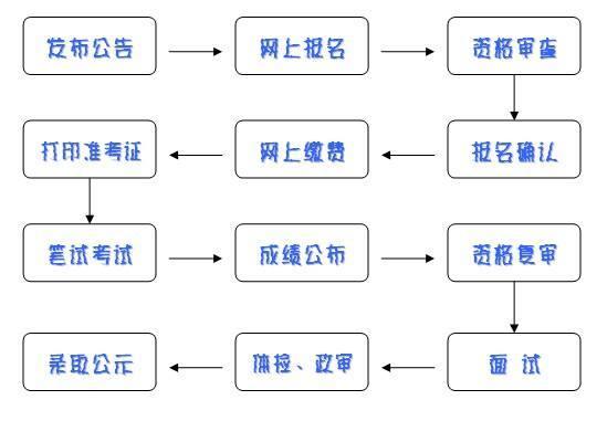 2024年11月20日 第43页