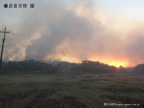 律师解读游客烧大牯牛山事件始末