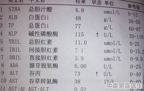 公务员入职新篇章，转氨酶升高背后的健康挑战与探索