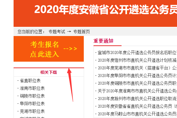 公务员资格审查，确保公职人员素质的关键环节