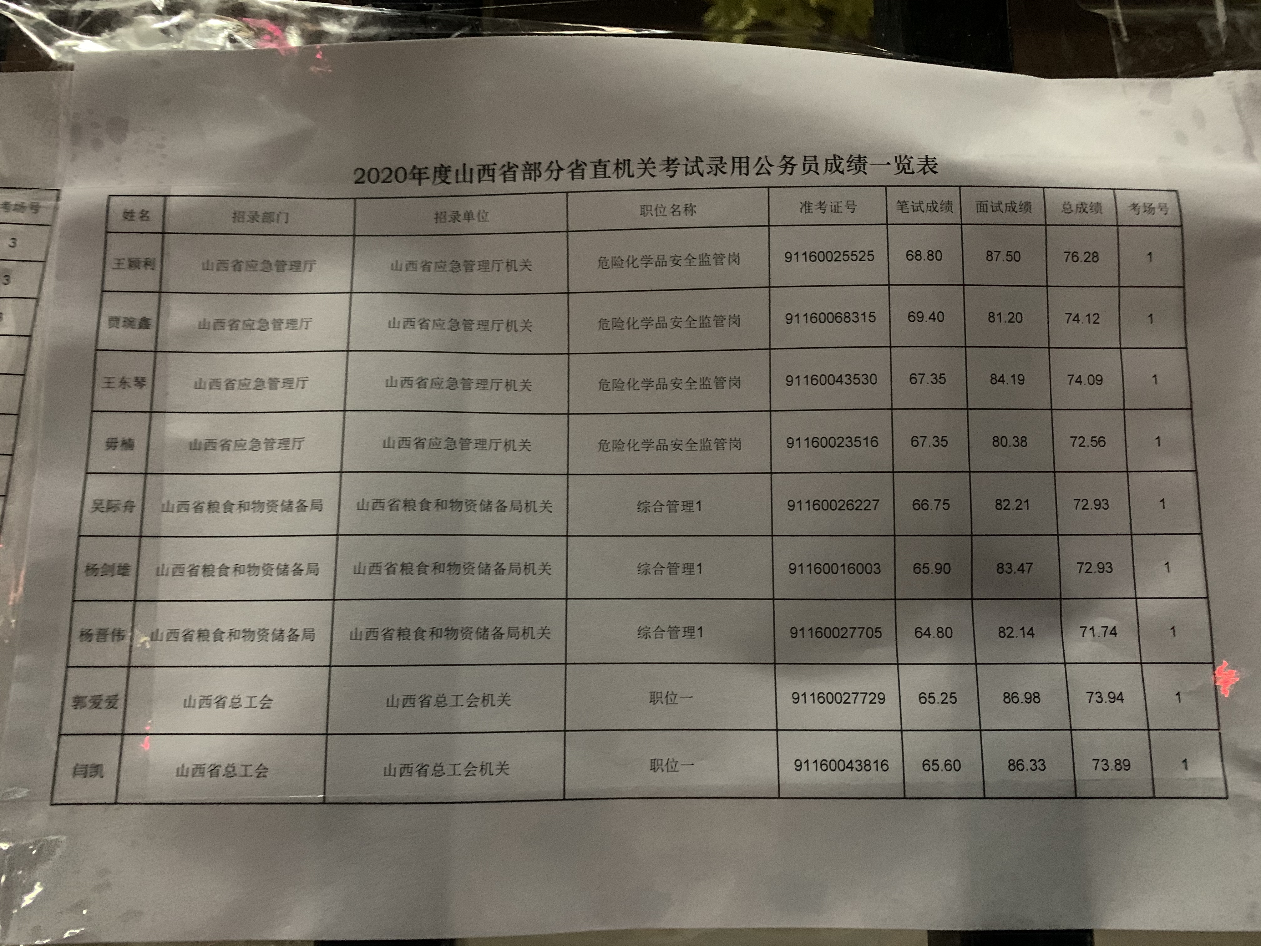 XXXX年度公务员考试录取公告发布，考生成功上岸名单揭晓！