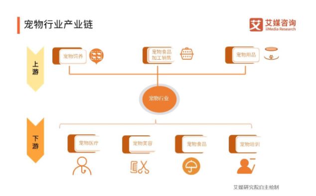 宠物经济繁荣背后的深层洞察与趋势分析