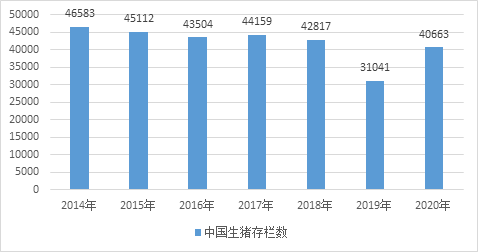 最准一肖一.100%准,实地数据分析计划_3DM80.49