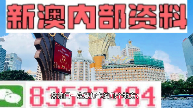 2024新澳门正版免费资木车,经典案例解释定义_专属版13.539