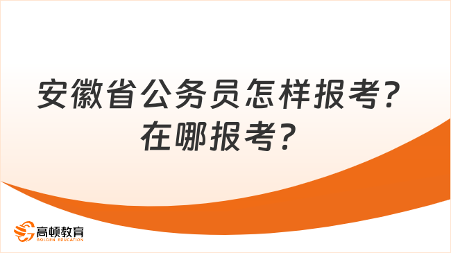 考公务员所需的学历及报考条件详解