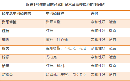 2024年新奥开奖结果,实践调查解析说明_尊享版18.732