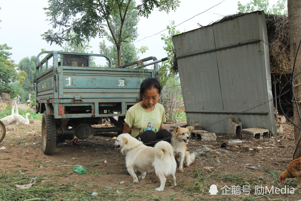 女子遭大型犬撕咬，司机紧急鸣笛救援事件