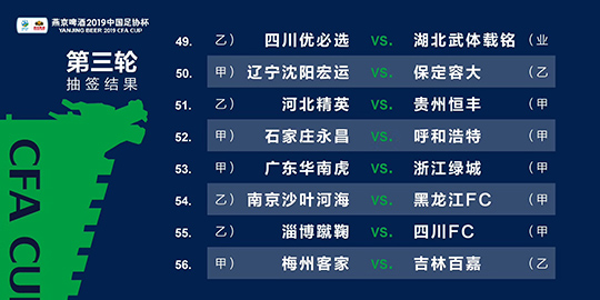 精准一肖100准确精准资料大全,稳定性操作方案分析_Advance60.623