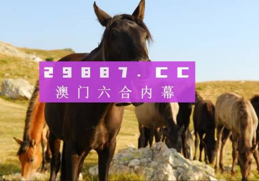 管家婆一肖一码澳门大桥站资料全,最新答案解析说明_进阶款44.369