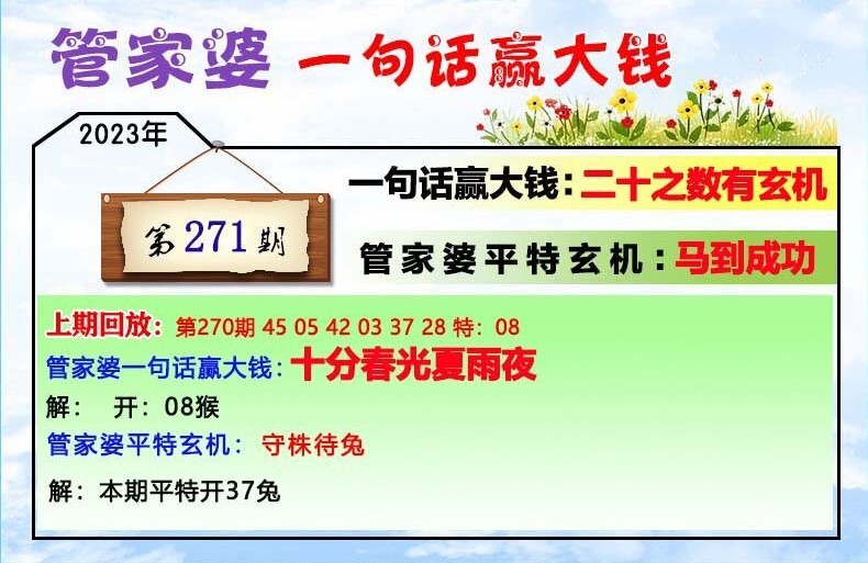 2024年12月4日 第50页