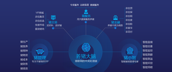 一码一肖100%精准,实地数据验证策略_pack78.808