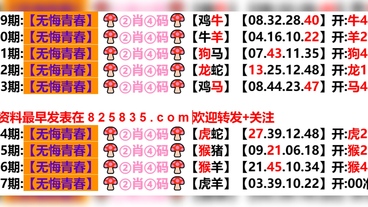 新奥门资料免费单双,动态词语解释落实_3DM54.614